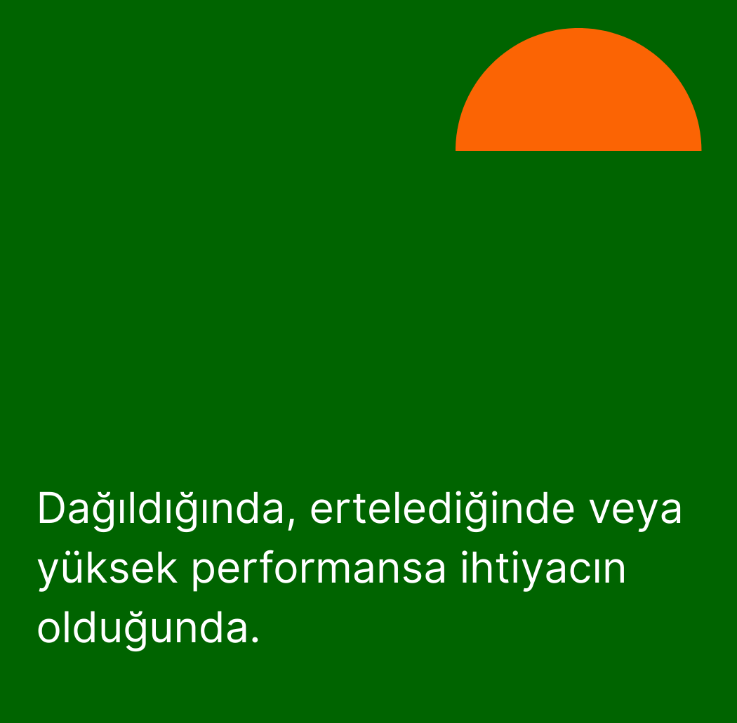 Odak ve Üretkenlik Koleksiyonu